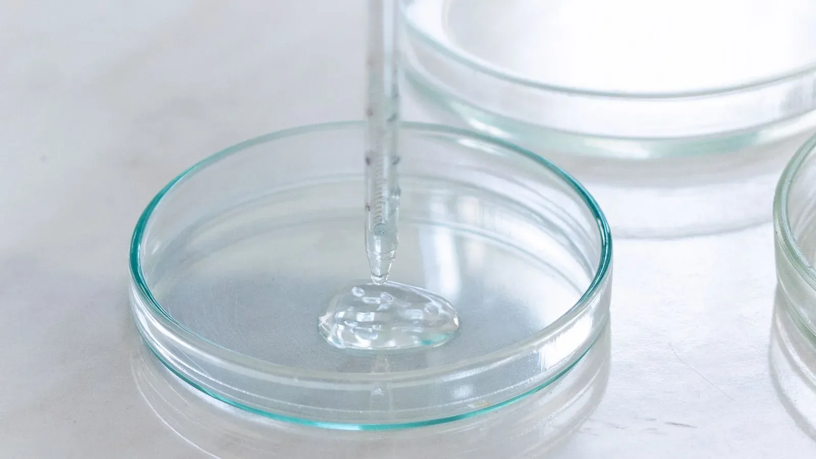 Laboratory pipette and petri dishes used for genetic testing of embryos (PGT)